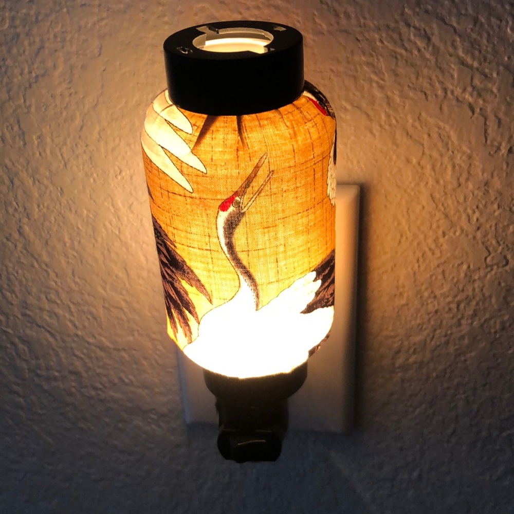 2 new Asian nightlights